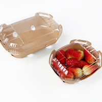 10 boîtes biodégradables pour fraises et fraises, conteneur de pommes de terre, avec plateau en papier kraft et couvercle PLA, vente en gros