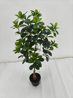 Arbres artificiels en bonsaï Polyscias Guilfoylei verts de 90 cm et 120 cm pour la décoration intérieure des hôtels et restaurants
