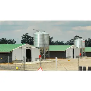 prefabricated house chicken house Poultry Shed Chicken Farm poultry house for 10000 chickens