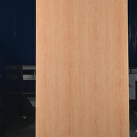 Panel HPL (High Pressure Laminate) tahan air dan api, motif kayu dan marmer, untuk dekorasi furnitur dan kabinet interior