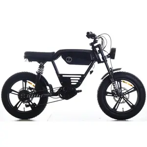 2024 Electric Bicycle Fast Vintage Long Range Motorcycle Off Road Super style Fat 20inch 48V 20AH Hydraulic Disc Brakes E Bikes