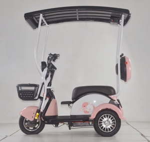 Tricycle électrique solaire avec auvent solaire, scooter à 3 roues pour personnes âgées, protection contre la pluie et le vent - Product Image 2