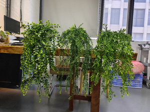 Planta de flores colgantes artificiales de helecho de bonsái persa de cinco bifurcaciones de alta calidad para boda Navidad graduación Año Nuevo plástico - Product Image 5