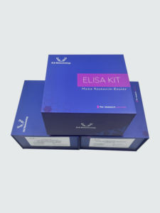 Kit de 8-epi-PGF2a (<span class=keywords><strong>alpha</strong></span> de la <span class=keywords><strong>prostaglandine</strong></span> <span class=keywords><strong>F2</strong></span> de 8-Epi) ELISA pour l'usage de recherches - Product Image 2