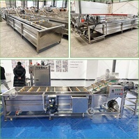 Commerciële Ozon Citrus Oranje Pompoen En Fruit Luchtbel Water Bladwortel Schone Wasmachine Wasmachine Voor Groente