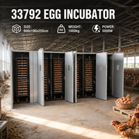 Incubateur d'œufs automatique BeYou de qualité commerciale 33792 - Système d'incubation avicole haut de gamme pour usage agricole