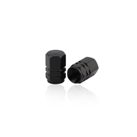 Pack de 300 pièces voiture pneu personnalité réaménagement noir roue tige Valve bouchon personnalité Modification accessoires costume