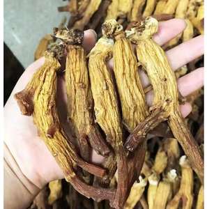 Grosir Ginseng Korea asli impor dalam jumlah besar dengan akar asli yang dipilih dengan hati-hati - Product Image 4