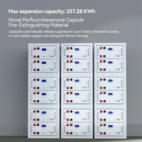 بطاريات ليثيوم فوسفات Enershare قابلة للتركيب على الرفوف بجهد 24 فولت وسعة 314 أمبير ساعة، 8 كيلوواط ساعة، 16 كيلوواط ساعة، 24 كيلوواط ساعة لتخزين الطاقة الشمسية المنزلية، نظام هجين/خارج الشبكة