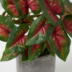 Piante Artificiali Realistiche in Vaso da 30cm, Monstera, Alocasia, Caladium, Vegetazione Simulata con Vaso per Decorazione Casa, Ufficio, Scrivania - Product Image 4