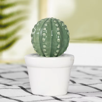 Ensemble de Décoration en Céramique pour Plantes Succulentes et Cactus avec Pots Modernes pour la Maison, le Bureau et les Ornements Verts de Table