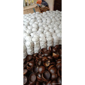 Casa para gatos de jacinto de agua, comederos y bebederos para mascotas, hogar de cáscara de coco natural, para alimentar perros, gatos y animales pequeños en casa, al aire libre y de viaje. - Product Image 4