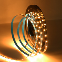 Bande lumineuse LED Flexible SMD 2835, 12V, 24V, 5M, 10M, étanche, Diode blanche chaude