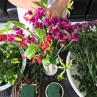 Oasis Greenery Mousse florale hydratante pour fleurs, brique de mousse humide, Oasis Forest