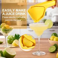 Presse-agrumes manuel robuste et efficace pour citrons, citrons verts et oranges