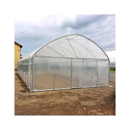 Large Size High Tunnel Agricultural Greenhouse for Tomato growing Green House