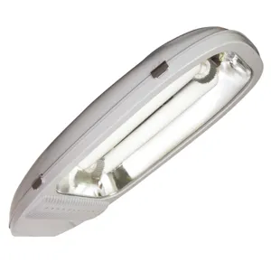 JK ZD10 Series outdoor Lighting Induction Road Light 70w 80w 100w 150w 200w 250w For Street