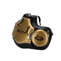 Protège-poitrine pour boxeur, nouvel arrivage de haute qualité, protection de poitrine pour le Taekwondo, vente en gros, 9 pièces