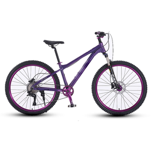 <span class=keywords><strong>Bicicleta</strong></span> de Montaña en Stock de 29 y 27.5 Pulgadas con Frenos de Disco de Aceite, 11, 12, 21, 24, 27, 30 Velocidades, Cuadro de Aleación de Aluminio, Bicicletas de Carretera - Product Image 5