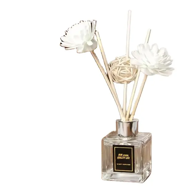 Botol kaca Reed Stick Plug in Diffuser aroma panjang parfum aroma penyegar disesuaikan desain parfum
