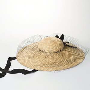 定制奢华时尚女式面纱设计宽边草帽，适合女士舞台婚礼音乐节 - Product Image 3