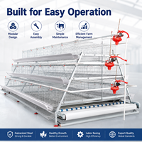 Cage d'élevage de poulets de type A avec système d'alimentation automatique pour l'élevage commercial de volailles, équipement d'élevage de poussins pondeurs