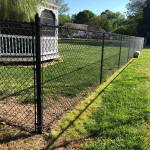 Brand New Industrial Factories Chain <strong>Mesh</strong> <strong>Fencing</strong> Pvc Coated Chain Link Wire <strong>Mesh</strong> <strong>Fencing</strong> Pvc Coated Green Chain Link <strong>Fencing</strong> - Product Image 1