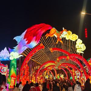 2025 đèn lồng triển lãm ngoài trời không thấm nước lễ hội lanternshow cho công viên chủ đề trang trí đèn lồng lụa hiển thị với đèn LED - Product Image 1