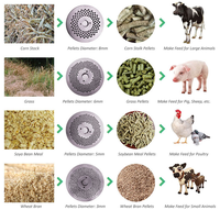 Petite machine à granulés de haute qualité pour l'alimentation des animaux pour les fermes avicoles et d'élevage Nouvelle condition pour les industries végétales