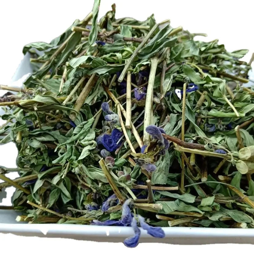 Natural raw dried stems and leaves Baikal skullcap aboveground part cuts for tea