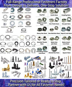 สกรูตาไก่ สแตนเลส 304 <span class=keywords><strong>ขนาด</strong></span> M5-<span class=keywords><strong>M20</strong></span> แบบ OEM ข้อต่อหมุน  ผิวเรียบ - Product Image 6