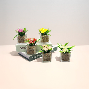 Venta al por mayor en vivo Mini planta suculenta maceta de estilo rural de cerámica esmaltada con maceta de <span class=keywords><strong>madera</strong></span> y vidrio de alta garantía decoración del hogar - Product Image 3