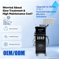 Appareil de soin du visage Hydra Dermabrasion vertical 11 en 1, nettoyage en profondeur, réduction des pores, équipement de salon de beauté OEM ODM