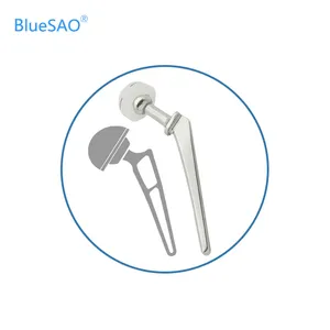 BlueSAO veterinary Orthopedic Hip Prosthesis and professional custom tool of Micro&Nano Total Hip Replacement System set