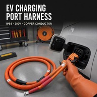 Câble de charge pour véhicule électrique, faisceau haute tension IP68 300V, conducteur en cuivre, isolation PVC, longueur personnalisée