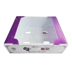 صناديق تعبئة بلاستيكية من البولي بروبلين قابلة لإعادة التدوير للزراعة والأغذية واللحوم والبيض وتخزين الطعام البحري-للخضروات والفاكهة والذرة والسمك البروكلي - Product Image 4