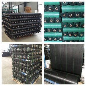 Màng Nhựa Phủ Đất Nông Nghiệp Đen Hoặc Trong Suốt Cho Đồn Điền Nông Nghiệp Và Vườn - Product Image 5