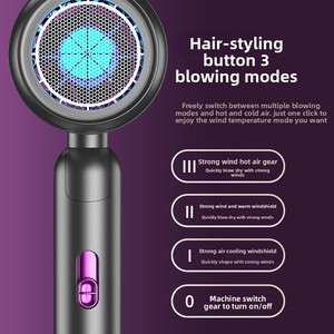 Negative Ion High-Speed Strong Power <strong>Portable</strong> Profesional Ionic High-Speed Hairdryer Best Quality Leafless <strong>Hair</strong> <strong>Dryer</strong> - Product Image 5
