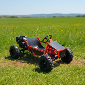 <span class=keywords><strong>Go</strong></span>-Kart ad Alta Velocità a 4 Tempi 212cc 70km/h per Corse All'aperto e Fuoristrada - Product Image 5