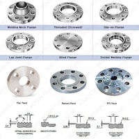 Bride en acier inoxydable forgé PN6 PN10 PN16 PN25 PN40 DN10 DN15 DN25 DN32 DN40 DN50 DN65 DN80 DN100, acier inoxydable 304 316 DIN EN1092