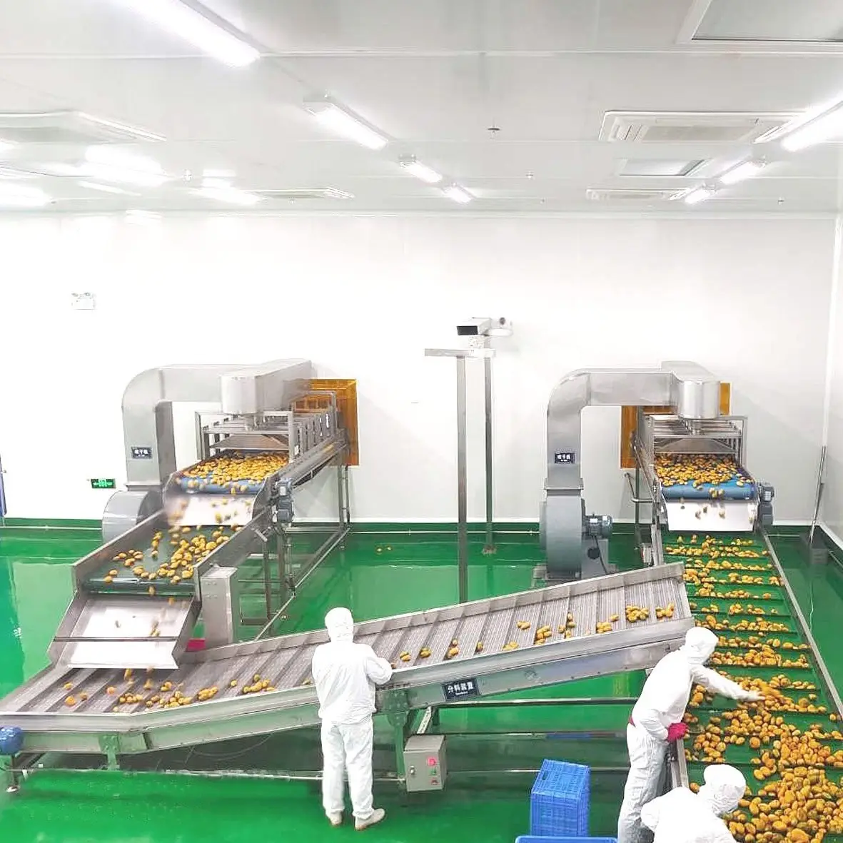 מנגו שלם, אננס ייצור קו עיבוד מיץ פירות מותאם אישית מיץ ביצוע המכונה Plc 600
