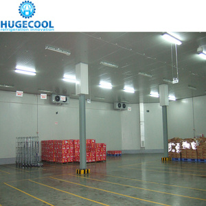 ห้องเย็นขนาดใหญ่ Hugecool สำหรับจัดเก็บสินค้า 10 ถึง 100 ตัน พร้อมตู้แช่แข็งแบบ Blast Freezer ราคาพิเศษสำหรับเนื้อสัตว์ ปลา ไก่ หัวหอม ผัก ผลไม้ - Product Image 2