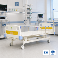 Lit médical manuel pratique avec poignées à manivelle en acier résistant à l'usure et pièces structurelles en ABS anti-collision