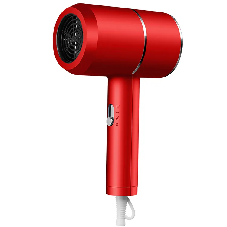 Amostra grátis Negativo Ion Hair Dryer Criativo Chic Anion Blower Alta qualidade Popular Blow Dryer Secador de cabelo