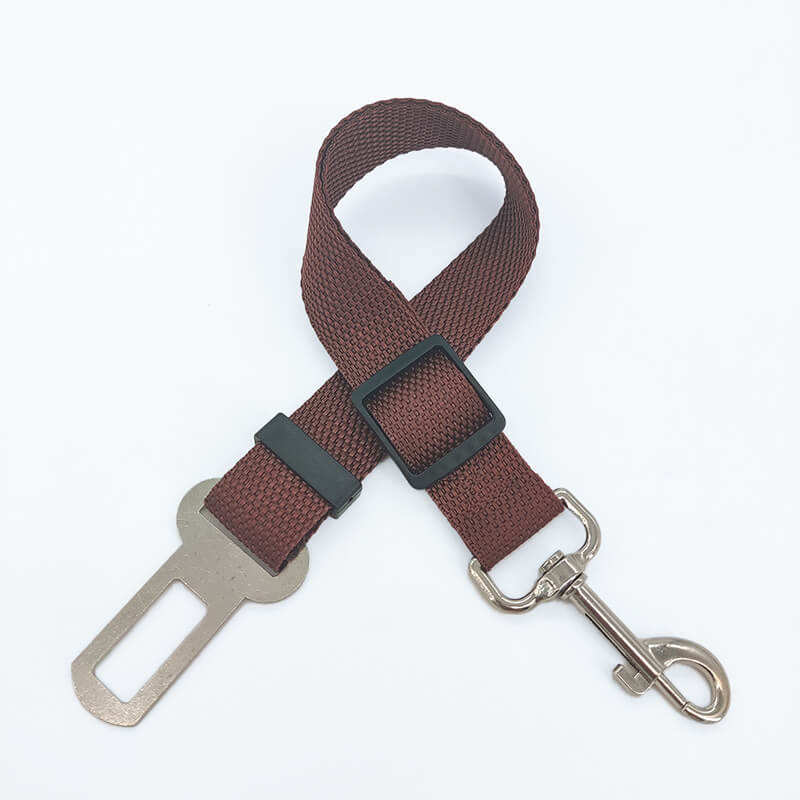 สีน้ำตาล