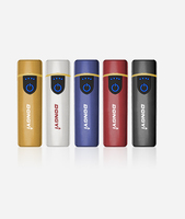 Briquet USB de luxe rechargeable pour fumeurs, vente en gros d'usine, nouveau modèle tendance