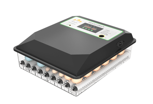 Incubateur automatique 64 <span class=keywords><strong>œuf</strong></span>s pour poulets, canards, pigeons, cailles et oiseaux – Neuf – Machine <span class=keywords><strong>à</strong></span> couver les <span class=keywords><strong>œuf</strong></span>s <span class=keywords><strong>à</strong></span> <span class=keywords><strong>vendre</strong></span> - Product Image 2