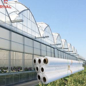 Telo in Plastica per Serra 6 <span class=keywords><strong>Mil</strong></span> Resistente ai Raggi UV, Polietilene Trasparente Resistente, Anti-Goccia, Resistente a Gelo/Vento/Polvere - Product Image 4