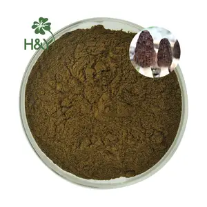 Healthway pasokan kualitas tinggi Morchella hitam Esculenta Morel jamur Morchella Esculenta ekstrak bubuk