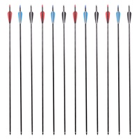 Flèches en fibre de verre roulées de 31 pouces, ID 6,2 mm, 30-55 lbs, pour arc à poulies et arc classique, pointes à visser pour le tir sur cible et la chasse